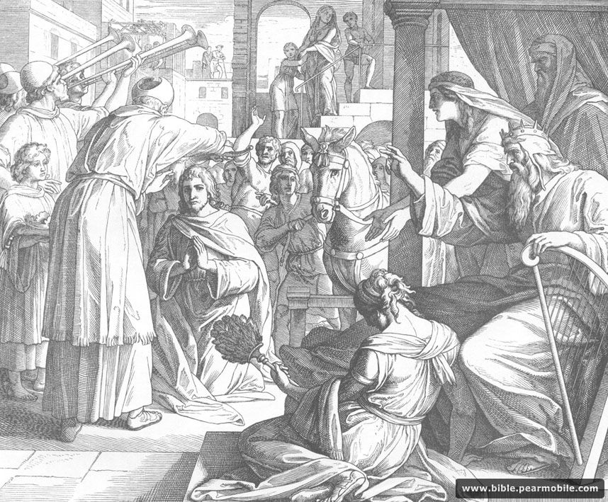 دوم پادشاهان  1:40 - Solomon Named to Succeed David